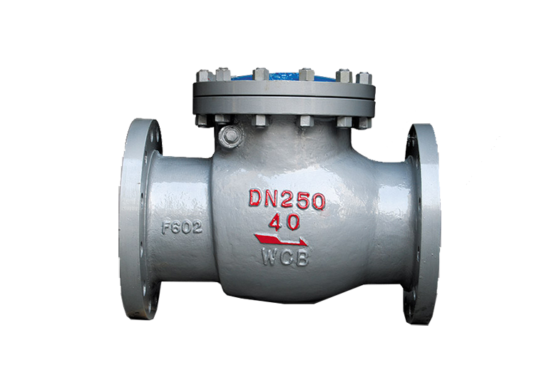 国标旋启式止回阀